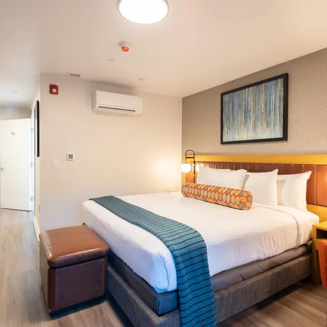 Deluxe, Double Bed, The Village Inn 1/3