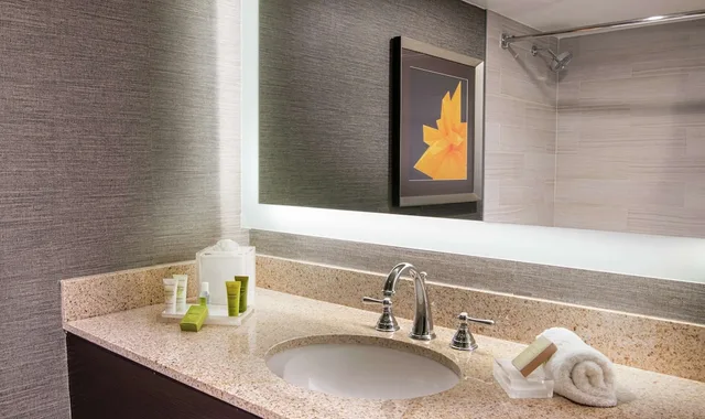 Room, King Bed, Pool Side، Hilton Parsippany 4/4