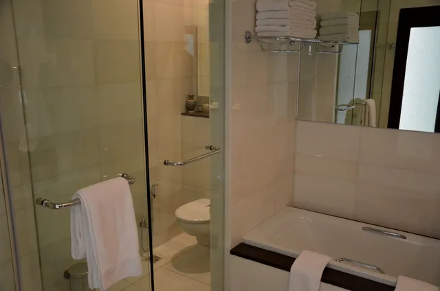 غرفة ديلوكس بسريرين منفصلين، DUSHANBE SERENA HOTEL 2/2