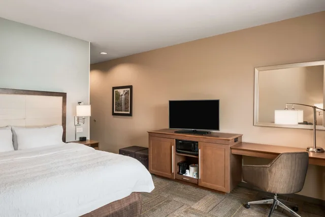 استوديو بسرير كينج لذوي الإعاقة، Hampton Inn & Suites Lavonia 3/4