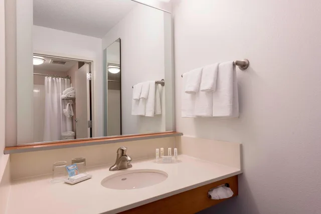 غرفة بسرير كينج لذوي الإعاقة، SpringHill Suites Detroit Auburn Hills 7/10