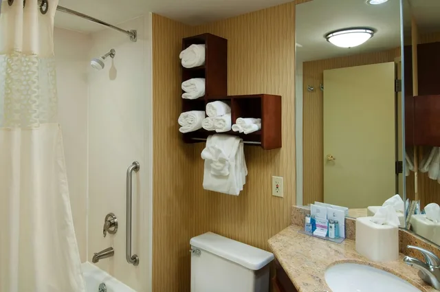 Studio, King Bed, Sofa, Hampton Inn Chambersburg 4/4
