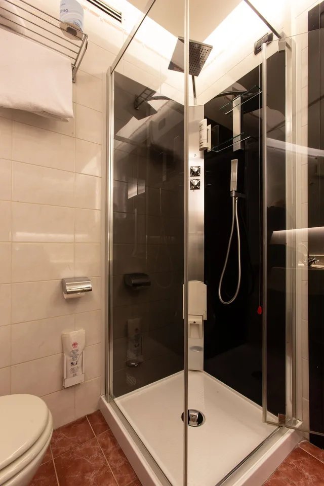 غرفة قياسية بإطلالة على الحديقة مفردة بسرير مزدوج، Hotel Pineta 5/6