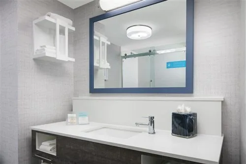 جناح بريميوم، Hampton Inn & Suites Tampa/Ybor City/Downtown 1/1