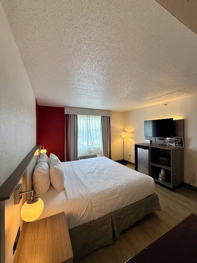 جناح بزنس بسرير كينج مع أريكة، Ramada by Wyndham Glendale Heights/Lombard 2/10