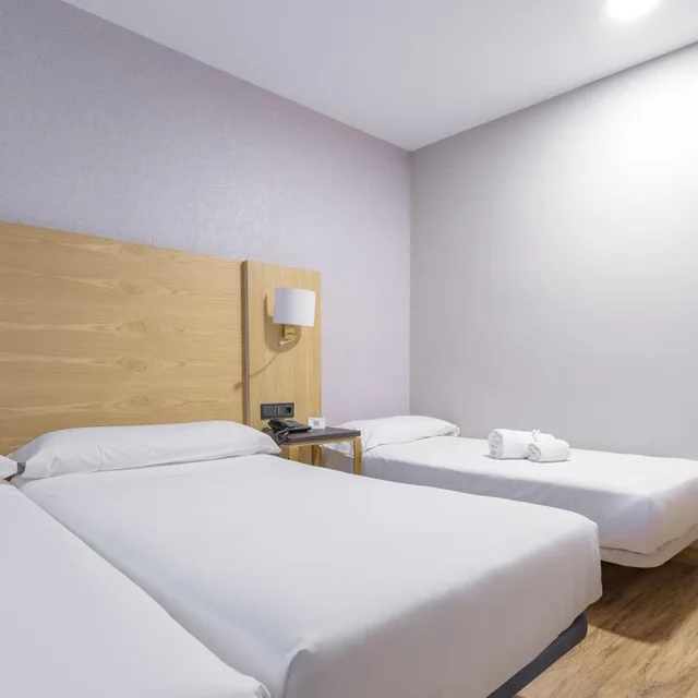 غرفة بسرير مزدوج مع سرير إضافي، Hotel Zentral Mayoral Toledo 1/7