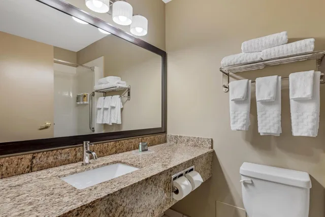 Room, Queen Bed, Best Western Plus Red Deer Inn and Suites 6/6