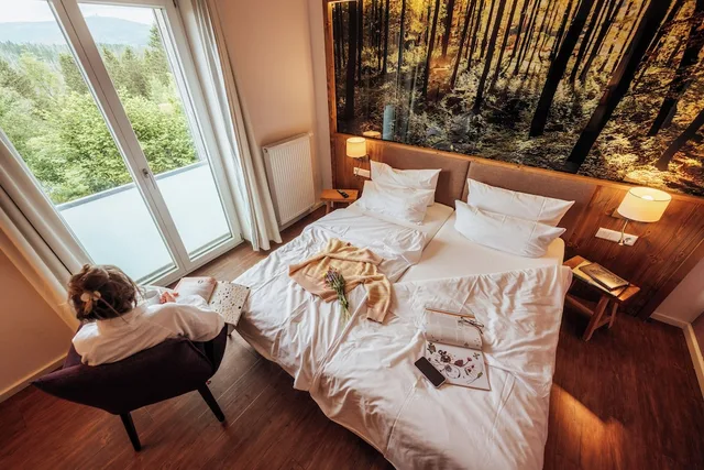 غرفة قياسية بسرير كوين، Torfhaus Harzresort 1/2