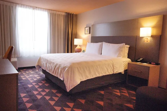 غرفة بسرير كينج، Wyndham Houston Hobby Airport 1/5