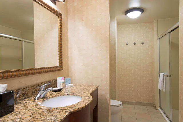 Room, 2 Queen Beds, Bath and Shower، Hampton Inn and Suites Indianapolis - Fishers 4/4
