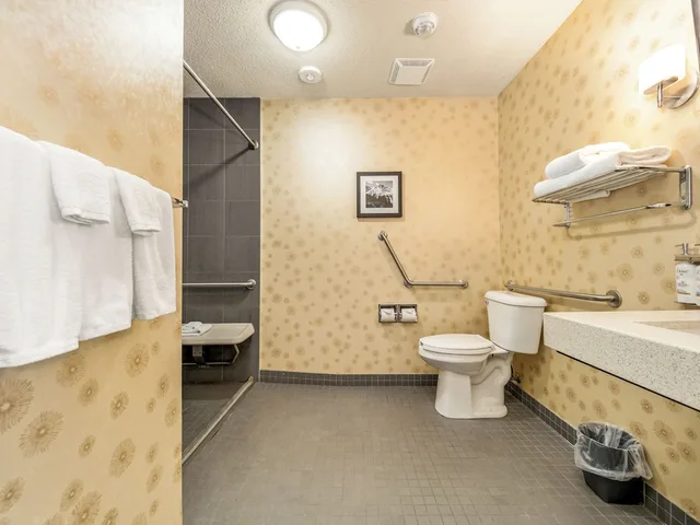 غرفة قياسية بسرير كوين لذوي الإعاقة، HOLIDAY INN LETHBRIDGE 8/10