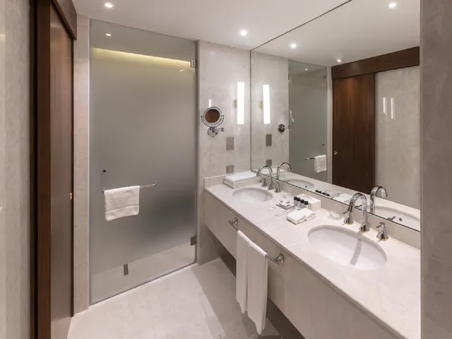 جناح تنفيذي بإطلالة على الجبل، Swissotel Wellness Resort Alatau Almaty 6/9
