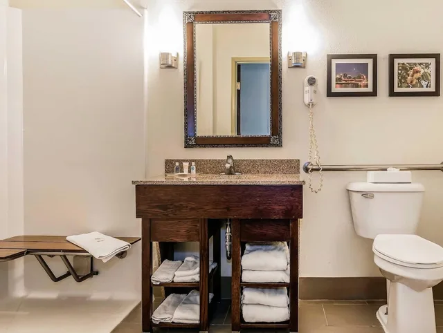 Efficiency, Suite, King Bed، Comfort Suites Miamisburg - Dayton South 3/4