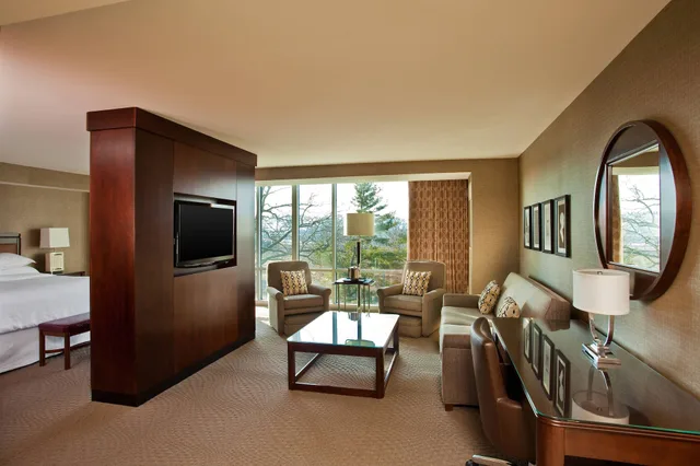 Room, King Bed, City View, Sofa, Sheraton Valley Forge King of Prussia 2/4