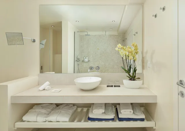 جناح تنفيذي، Rodostamo Hotel and Spa 8/8