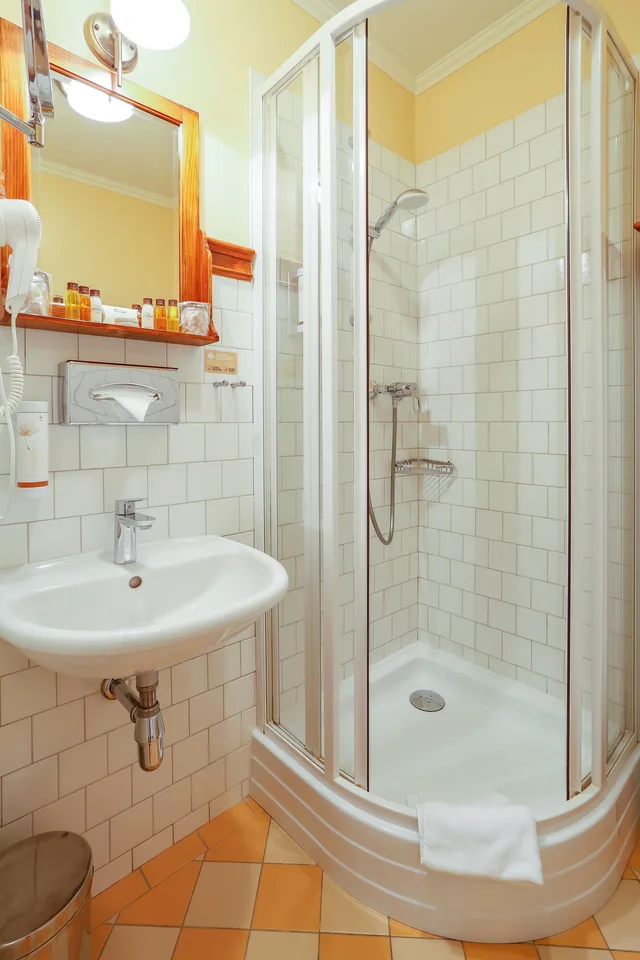 غرفة قياسية بسرير مزدوج، Chateau St Havel Wellness Hotel 9/10