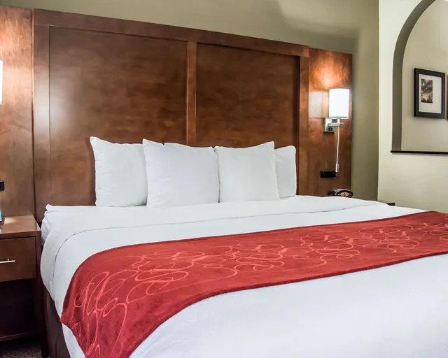 جناح بسرير كينج لذوي الإعاقة، Comfort Suites University - Research Park 2/2