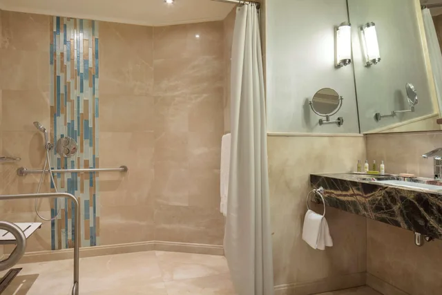 Guest Room, King Bed, Hilton Bursa Convention Center & Spa 3/4