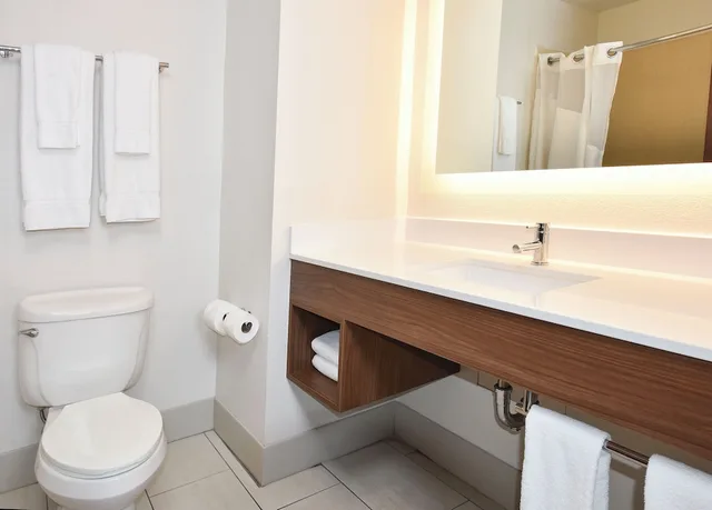 غرفة قياسية بسرير كينج، Holiday Inn Express Hotel & Suites Selma 3/4