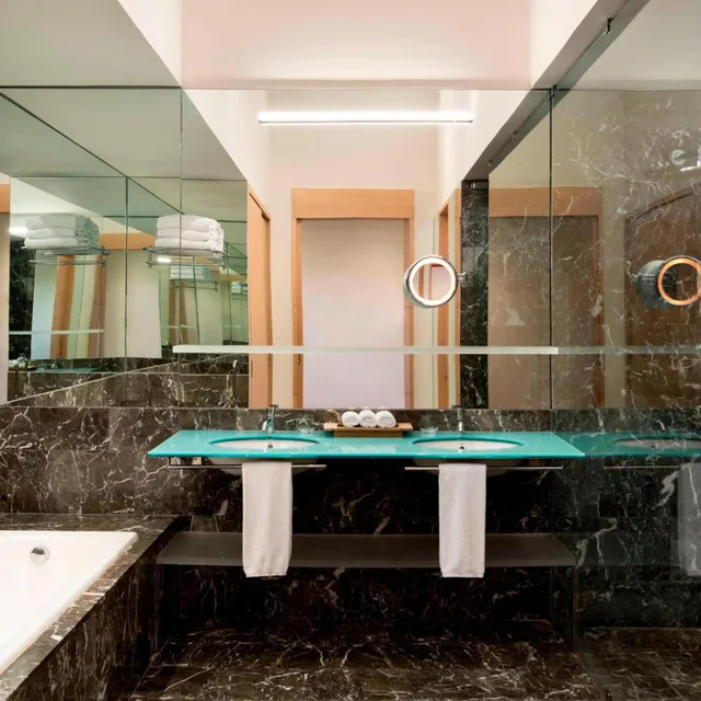 Spa, Guest Room, Premium, King Bed, Terrace، Hotel Marques de Riscal A Luxury Collection Hotel Elciego 4/4