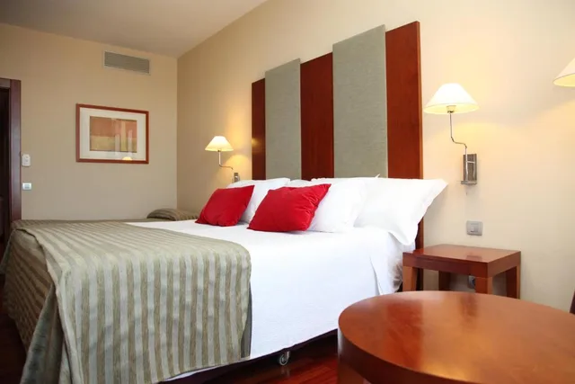 Standard, Single, Double Bed, Hotel Urh Palacio de Oriol Formerly Nh Palacio de Oriol 3/4