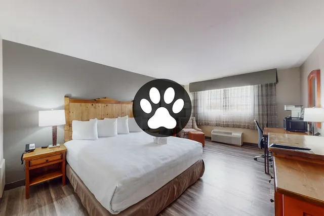 غرفة قياسية بسرير كينج يُسمح فيها بالحيوانات الأليفة، Best Western Plus Rio Grande Inn 5/10