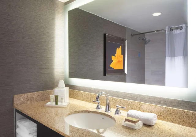 Room, King Bed, Allergy Friendly، Hilton Parsippany 1/2