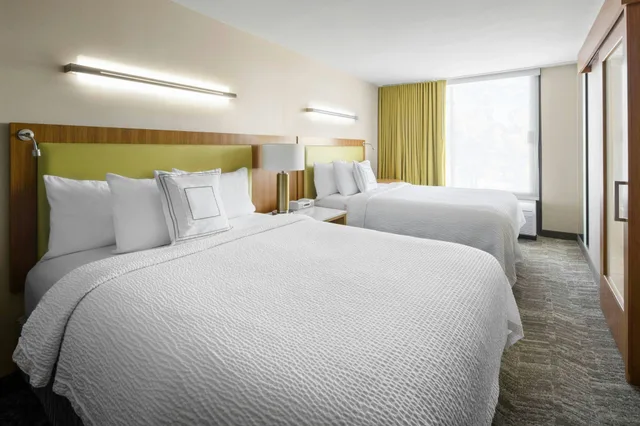 جناح بسريرين كوين، Springhill Suites by Marriott Flagstaff 1/5