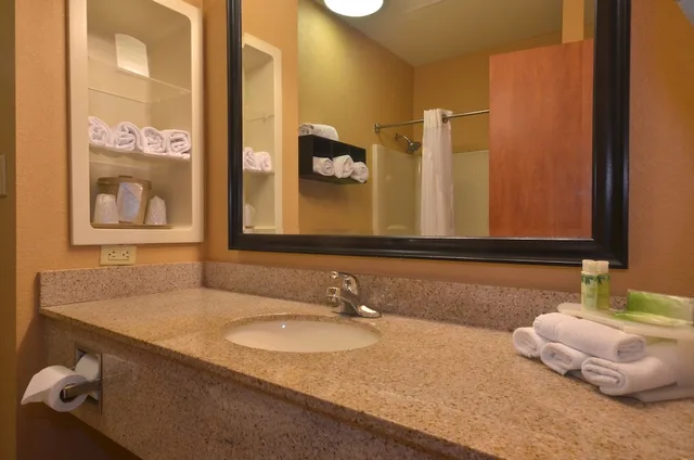 جناح بسريرين كوين لذوي الإعاقة، Holiday Inn Express Hotel And Suites Pine Bluff Pines Mall 2/3
