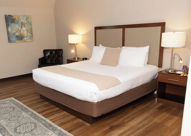غرفة قياسية بسرير كينج بغرفة نوم واحدة، D. Hotel and Suites 3/9