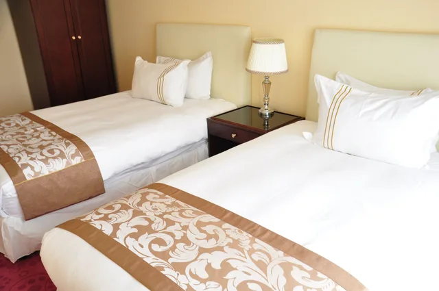 غرفة قياسية بسرير كينج، Alpha Hotel Mongolia 3/3