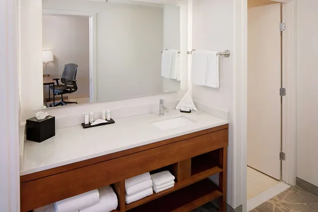 Room, King Bed, Sofa, Accessible, Embassy Suites by Hilton Boston Marlborough 3/3