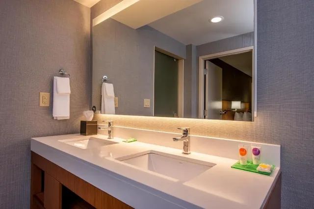 استوديو بسرير كوين مع أريكة في طابق مرتفع، Hyatt Place Chicago O'Hare Airport 2/2