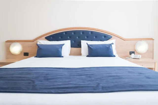 Standard, Convertible Double Bed، Blu Hotel Sure Hotel Collection by Best Western 3/5