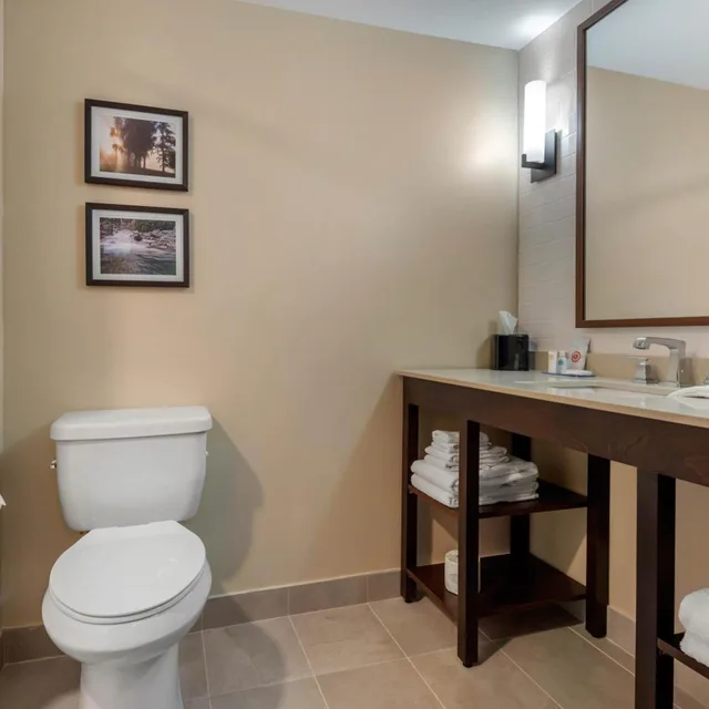 Room, King Bed, 2 Queen Beds, Comfort Inn & Suites Napanee, ON 8/9