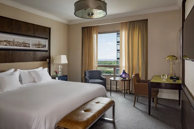 غرفة ديلوكس غراند بسرير كينج بإطلالة، Alvear Icon Hotel 1/2