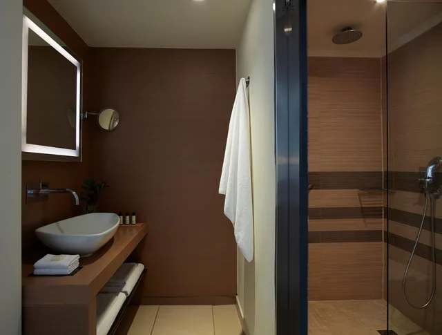 غرفة ديلوكس بسرير كينج بإطلالة على الحديقة مع أريكة بجاكوزي، The Ixian Grand and All Suites Adults Only Hotel 2/3