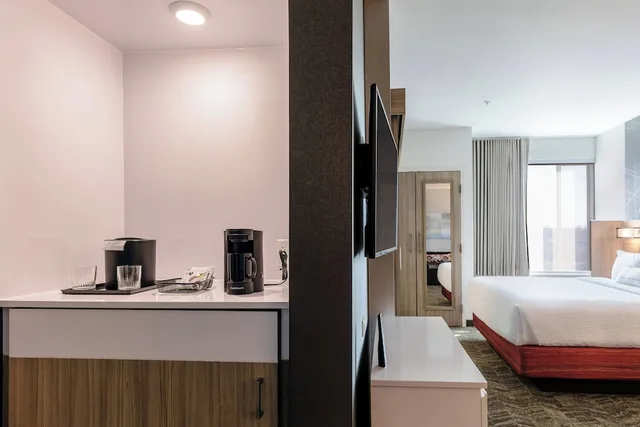 جناح بسرير كينج مع سرير سحّاب إضافي لذوي الإعاقة، Springhill Suites Columbia 3/5