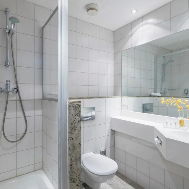 غرفة كبيرة بسرير مزدوج، Best Western Plus Hotel Excelsior 6/9