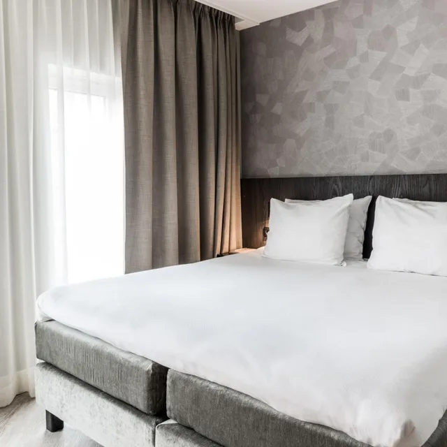 غرفة كومفورت بسرير مزدوج، Sandton Eindhoven Centre 5/10