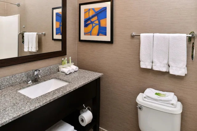 غرفة قياسية بسرير كينج، Holiday Inn Express Hotel & Suites St. Louis West-O Fallon 7/8