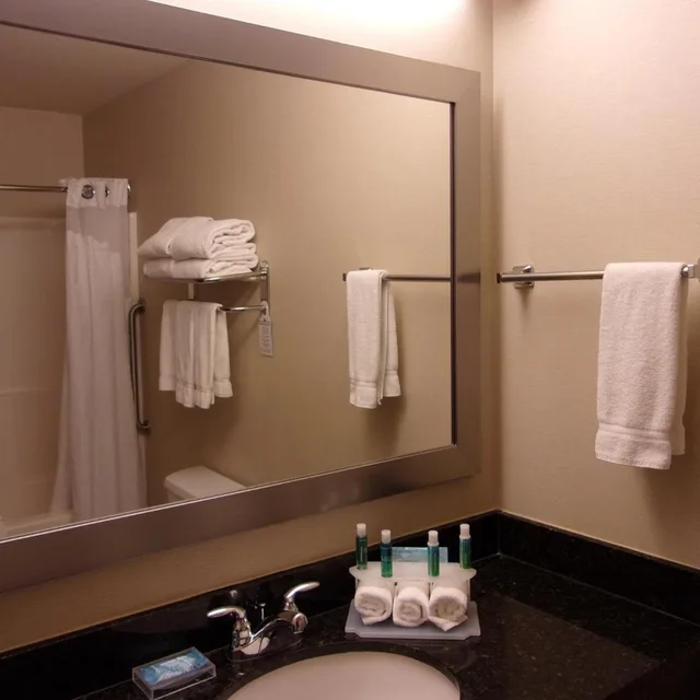 جناح بغرفة نوم واحدة مع أريكة بحوض استحمام لذوي الإعاقة، Holiday Inn Express Suites Chicago West Roselle 6/6