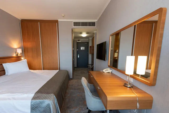 Deluxe Guestroom Single Use، Wyndham Cluj 1/3
