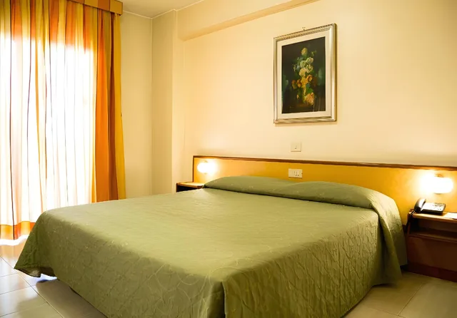 غرفة اقتصادية، Pineta Palace Roma 1/1