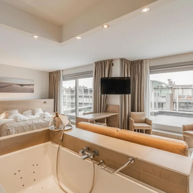 Executive, Penthouse, Suite, Terrace، Casino Hotel 9/9