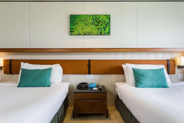 Oasis, Deluxe, 2 Double Beds, Pool View, Sonesta Maho Beach Resort And Casino And Spa 2/5