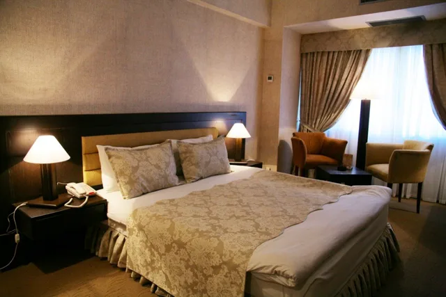 Superior, Single, Double Bed, Le Grande Plaza 1/2
