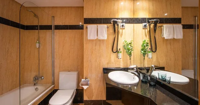 غرفة بريميوم، Hotel San Sebastian Orly, Affiliated by Melia 3/3