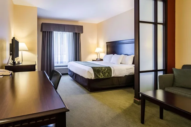جناح بسرير كينج لذوي الإعاقة، Comfort Suites Gothenburg South 1/7