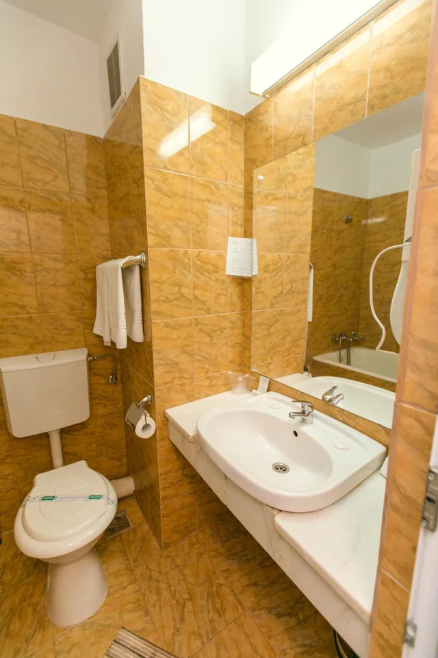 1 Bedroom, Suite, Poienita 4/5